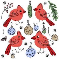 gli uccelli cardinali del nord e gli elementi natalizi scarabocchiano la collezione. vettore