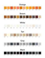 arancia, Marrone, bianca, abbronzatura, grigio e nero colore occhiali da sole tavolozza con colore nomi isolato illustrazione vettore