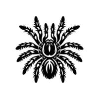 tarantola logo illustrazione disegno, tarantola logo design vettore