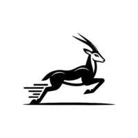 springbok logo. springbok illustrazione. springbok selvaggio animale vettore