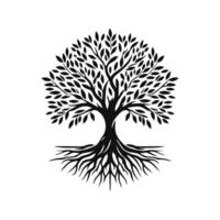 radice albero logo. radice di il albero logo simbolo illustrazione disegno, quercia albero Vintage ▾ logo design vettore