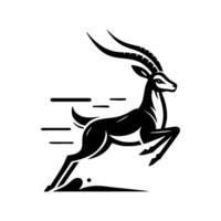 springbok logo. springbok illustrazione. springbok selvaggio animale vettore