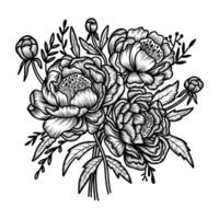 composizione schizzo disegno di diverso peonie su un' bianca sfondo. mazzo colore illustrazione Vintage ▾ o retrò vettore