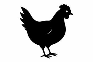 silhouette di un' Gallo con dettagliato piume. nero pollo nel lato Visualizza. rurale vita, azienda agricola animale, uccello illustrazione, bestiame concetto. nero silhouette isolato su bianca sfondo. vettore