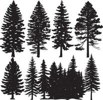 conifera pino alberi nel un' foresta o parco semplice icona per natura. tronco ambiente deciduo pino alberi silhouette logo. vettore