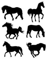cavallo pony equino silhouette impostato vettore