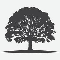 maestoso quercia albero silhouette, cattura della natura senza tempo bellezza vettore