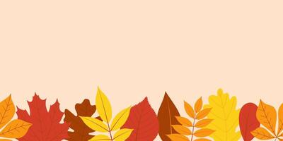autunno le foglie orizzontale senza soluzione di continuità confine. bandiera o sfondo decorato con multicolore le foglie. piatto illustrazione vettore