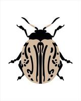 calligrapha multipunctata. illustrazione vettoriale piatto di bug. insetti e concetto di giardino animati in tema colorato. fumetto illustrazione della natura isolato su priorità bassa bianca.