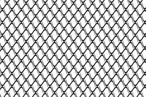 semplice astratto nero colore wvy linea geometrico modello Perfetto per sfondo sfondo struttura un' nero maglia con un' bianca sfondo con un' modello di piazze vettore