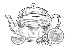 tè pentola schema illustrazione. bevanda con Limone e menta schizzo disegno. trasparente bicchiere bollitore nero linea arte. modificabile composizione con cibo. grafico clipart per Vintage ▾ stampe vettore