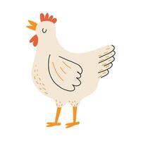 carino pollo. gallina nel il mano disegnato stile. domestico uccello. azienda agricola animale. bianca isolato sfondo. vettore