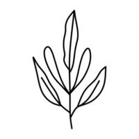 minimalista botanico linea arte di un' foglia vettore
