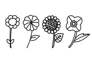 mano disegnato collezione di vario fiore illustrazioni vettore