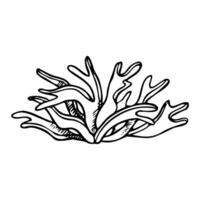 alga marina nero e bianca linea illustrazione. monocromatico subacqueo mare parte inferiore pianta disegno per marino disegno, naturale cosmetici e nautico Stampa vettore