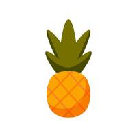 estate frutta per salutare stile di vita. ananas frutta. biologico tropicale frutta vettore