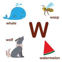 prescolastico inglese alfabeto. w lettera. anguria, lupo, vespa, balena. alfabeto design nel un' colorato stile. educativo manifesto per bambini. giocare e imparare. vettore