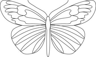 farfalla linea mano disegnato illustrazione. natura selvaggia animale scarabocchio. ornato insetti lineare disegno per tatuaggio, colorazione pagine, Stampa, logo. modificabile ictus. vettore