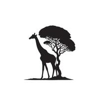 giraffa silhouette design. giraffa logo, giraffa illustrazione. vettore