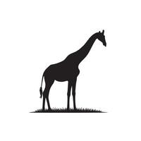 giraffa silhouette design. giraffa logo, giraffa illustrazione. vettore