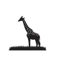 giraffa silhouette design. giraffa logo, giraffa illustrazione. vettore