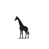 giraffa silhouette design. giraffa logo, giraffa illustrazione. vettore