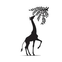 giraffa silhouette design. giraffa logo, giraffa illustrazione. vettore