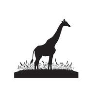 giraffa silhouette design. giraffa logo, giraffa illustrazione. vettore