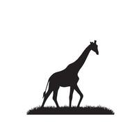 giraffa silhouette design. giraffa logo, giraffa illustrazione. vettore