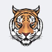 tigre viso , tigre testa illustrazione portafortuna design vettore