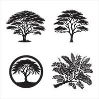 acacia albero silhouette icona grafico logo design vettore