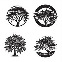 acacia albero silhouette icona grafico logo design vettore