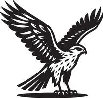 albanella uccello silhouette illustrazione vettore