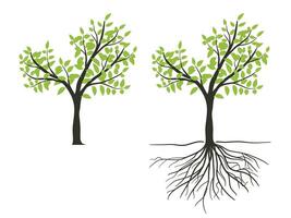 verde albero con le foglie e radici illustrazione vettore