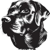 labrador cane da riporto cane clipart, labrador cane da riporto nero vettore