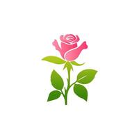 rosa rosa fiori, floreale decorato con bellissima multicolore fioritura fiori e le foglie confine. primavera botanico piatto illustrazione su bianca sfondo vettore