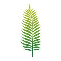 verde foglia icona. elementi design per naturale, eco, vegano, bio etichette vettore