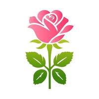 rosa rosa fiori, floreale decorato con bellissima multicolore fioritura fiori e le foglie confine. primavera botanico piatto illustrazione su bianca sfondo vettore
