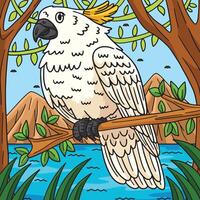 cacatua uccello colorato cartone animato illustrazione vettore