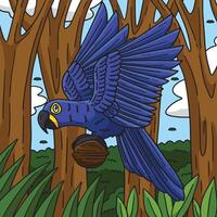 giacinto ara uccello colorato cartone animato illustrazione vettore