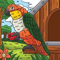 cacicco uccello colorato cartone animato illustrazione vettore