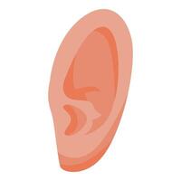 dettagliato illustrazione di un' umano orecchio, isolato su un' bianca sfondo vettore