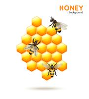 Sfondo di miele delle api vettore