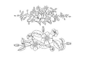 set di elementi botanici disegnati a mano vettore ornamentale