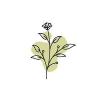 modello di logo botanico vettoriale in elegante disegno a mano e stile minimal. oggetto isolato flower.for badge logotipi e branding