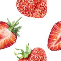 fragola senza soluzione di continuità modello, acquerello. totale e metà frutti di bosco. illustrazione. per confezione carta, tessuto, sfondo, tessili, copertine, succo etichette, marmellata, cosmetico prodotti. vettore