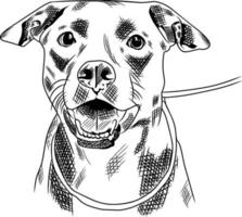 vettore di disegno del viso di cane. animale domestico . animale. illustrazione del cane.