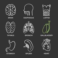 set di icone di gesso per organi interni umani. cervello, esofago, laringe, timo, bronchi, cistifellea, stomaco, milza, cuore. illustrazioni di lavagna vettoriali isolate