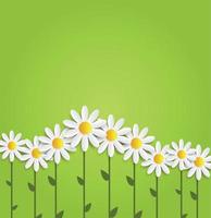 flora daisyl design vector illustartion