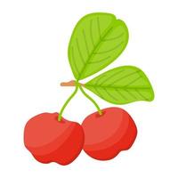 concetti di uva spina rossa vettore